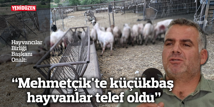 "Mehmetçik'te küçükbaş hayvanlar telef oldu"