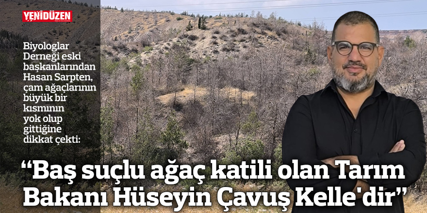 “Baş suçlu ağaç katili olan Tarım Bakanı Hüseyin Çavuş Kelle'dir”