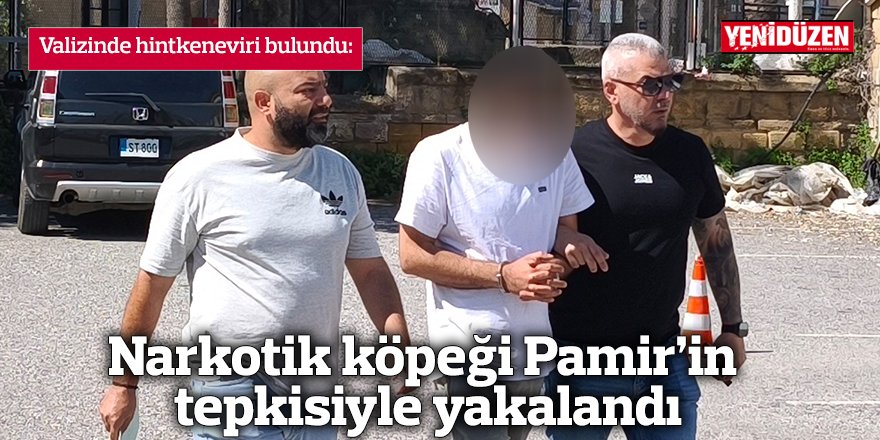 Narkotik köpeği Pamir’in tepkisiyle yakalandı