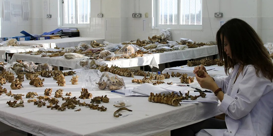 Kazakistan’dan Kayıp Şahıslar Komitesi’ne 8 bin 600 Euro bağış