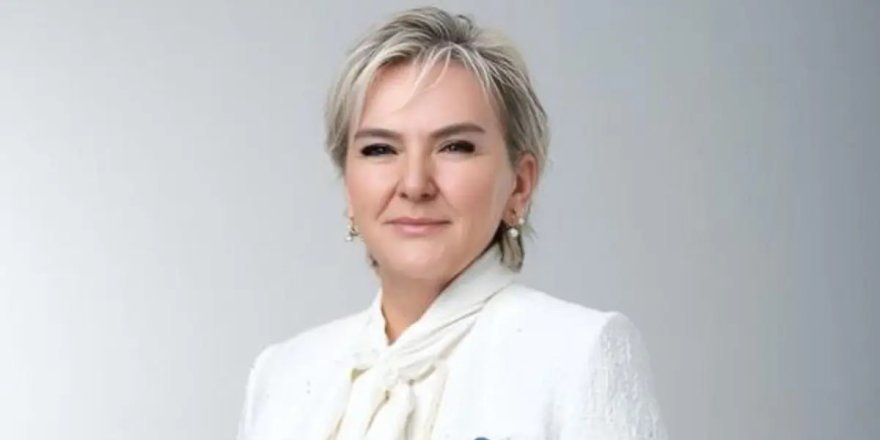 CHP Milletvekili Nimet Özdemir partisinden istifa etti