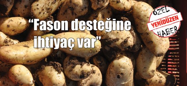 Patates üreticileri dertli