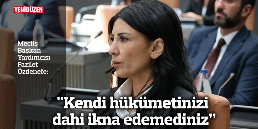 "Kendi hükümetinizi dahi ikna edemediniz”