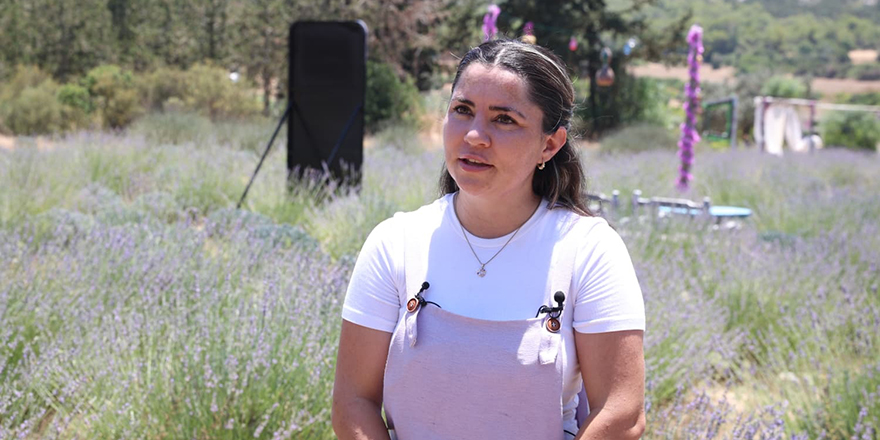 Kadın girişimci Ayşegül Bolat, Karpaz'a lavanta bahçesi kurdu