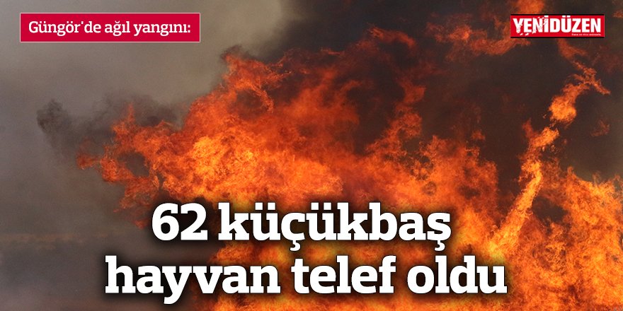 Güngör'de ağıl yangını: 62 küçükbaş hayvan telef oldu