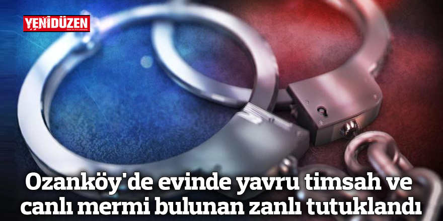 Ozanköy'de evinde yavru timsah ve canlı mermi bulunan zanlı tutuklandı