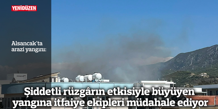 Alsancak'ta arazi yangını