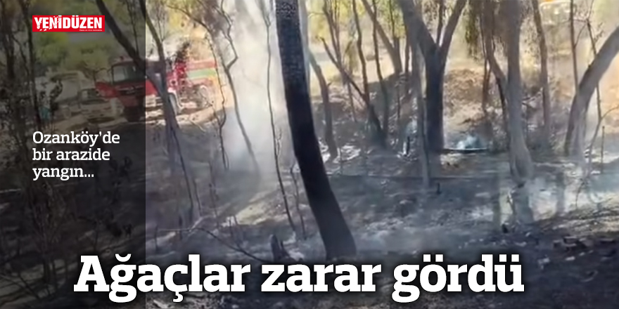 Ozanköy’de bir arazide yangın...  Ağaçlar zarar gördü