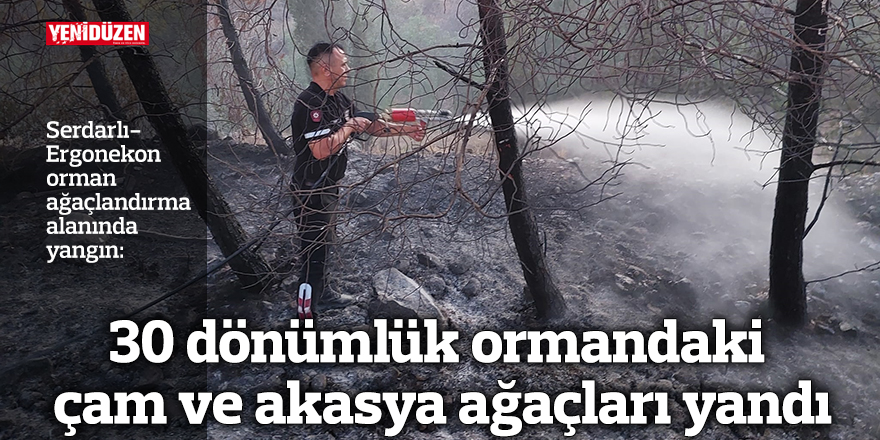 30 dönümlük ormandaki çam ve akasya ağaçları yandı