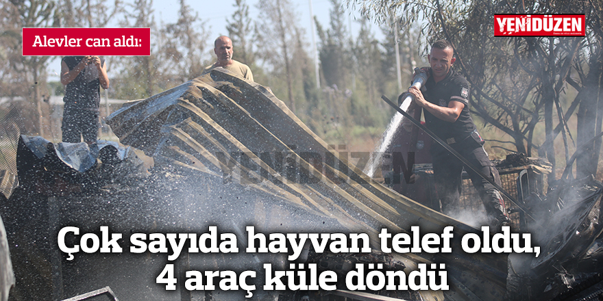 Alevler can aldı:  Çok sayıda hayvan telef oldu, 4 araç küle döndü