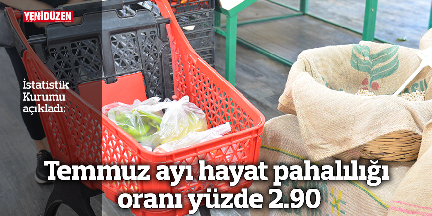 Temmuz ayı hayat pahalılığı oranı yüzde 2.90