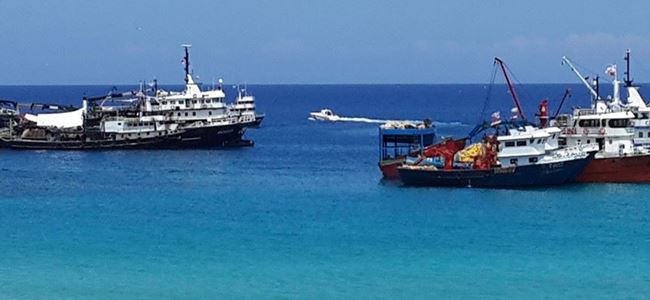 Tarım Bakanlığı: Teknelerin izni yok