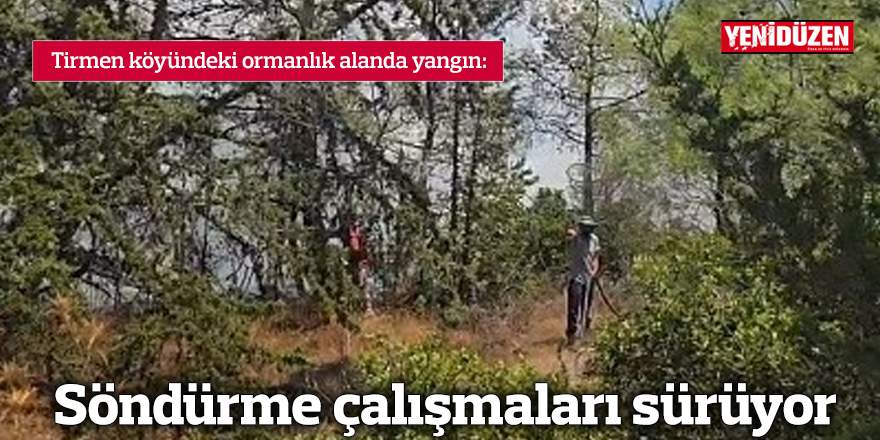 Tirmen köyündeki ormanlık alanda yangın