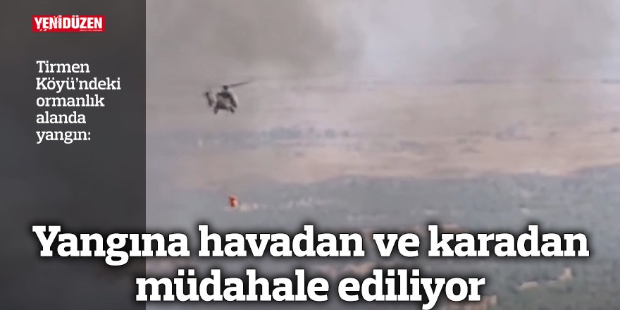 Yangına havadan ve karadan müdahale ediliyor