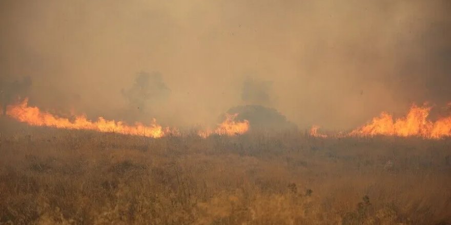 Yunanistan'ın Salamina Adası'nda orman yangını: İki kişi hayatını kaybetti