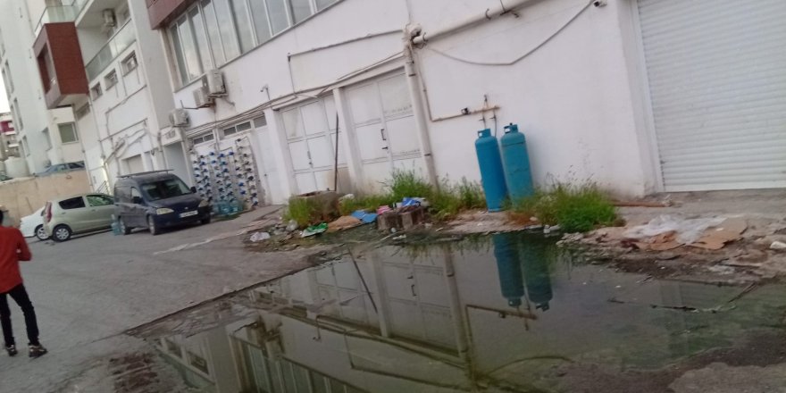 Lefke Çevre ve Ekoloji Derneği, yeniden foseptik birikimi tespit etti