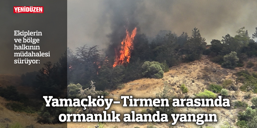 Yamaçköy-Tirmen arasında ormanlık alanda yangın