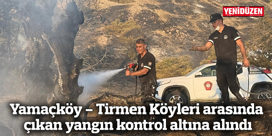 Yamaçköy-Tirmen arasında ormanlık alanda yangın