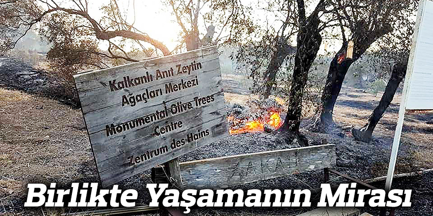 Birlikte Yaşamanın Mirası