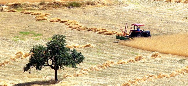 Çiftçiler Birliği’nden eylem uyarısı