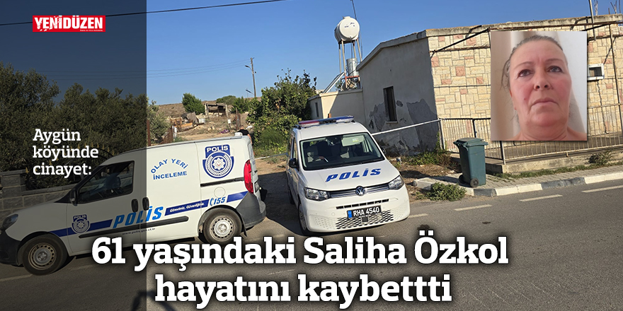 Aygün'de cinayet: 61 yaşındaki Saliha Özkol hayatını kaybetti