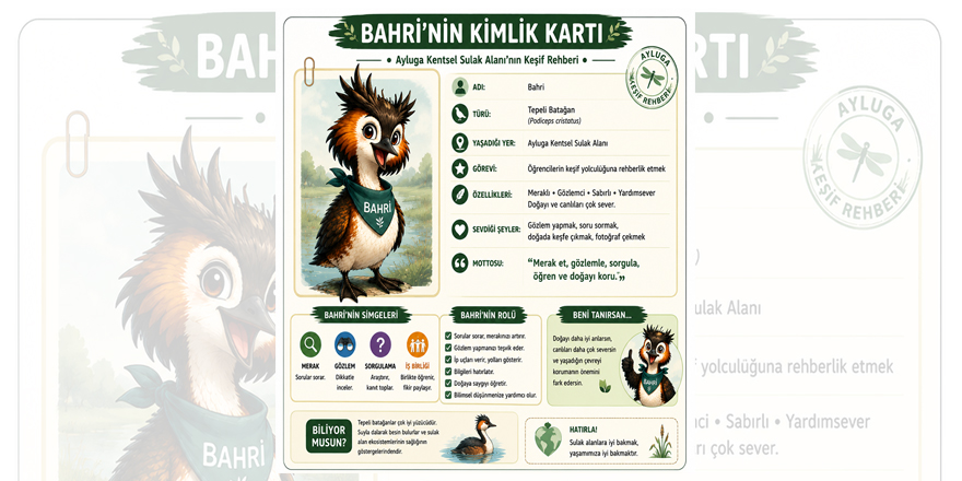 MAKAMER, öğretmenlere yönelik Ayluga Sulak Alanı eğitimi düzenliyor