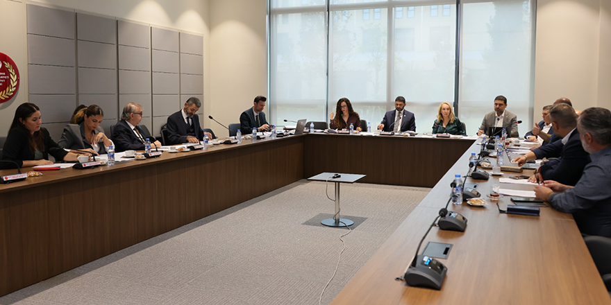 Cumhurbaşkanınca geri gönderilen AÖA (Değişiklik) Yasası komiteden geçti