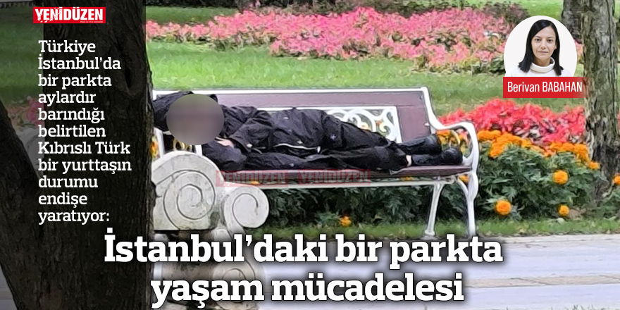 İstanbul’daki bir parkta yaşam mücadelesi