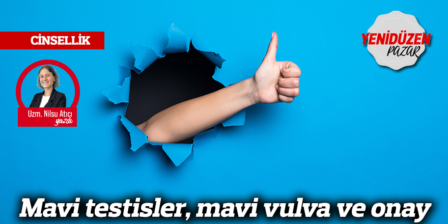 Mavi testisler, mavi vulva ve onay