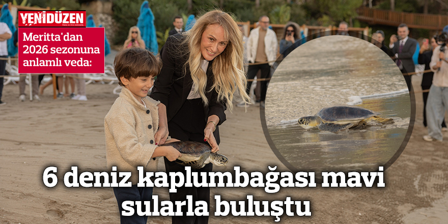 6 deniz kaplumbağası mavi sularla buluştu