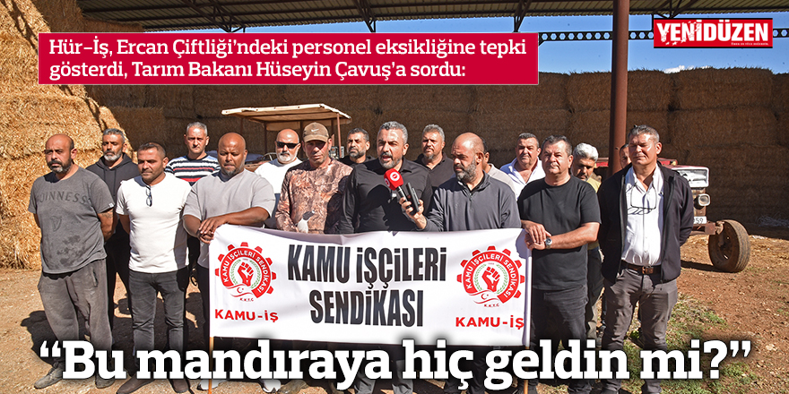 “Bu mandıraya hiç geldin mi?”