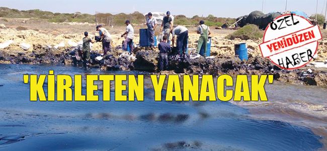 Çevreye anayasal koruma