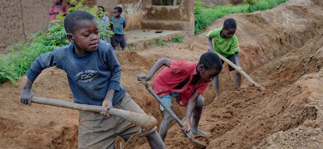 Dünyada 168 milyon çocuk işçi var