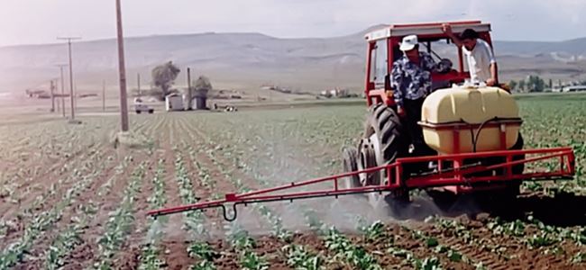 Tahıl bedelleri yarın ödenecek