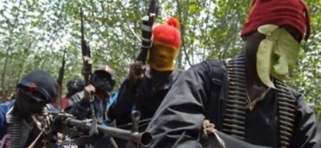 44 Boko Haram üyesi öldürüldü