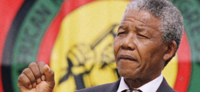 Google Mandelayı unutmadı