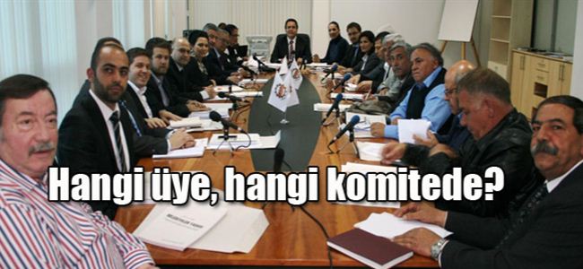 LTBde 15 komite görev başında