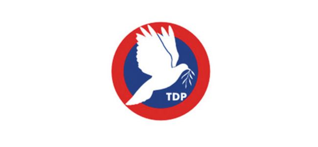 TDP, LTB ara seçiminde 87 bin 874 TL harcadı