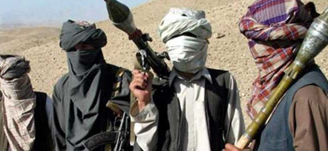 Talibana yönelik operasyonlarda 53 ölü
