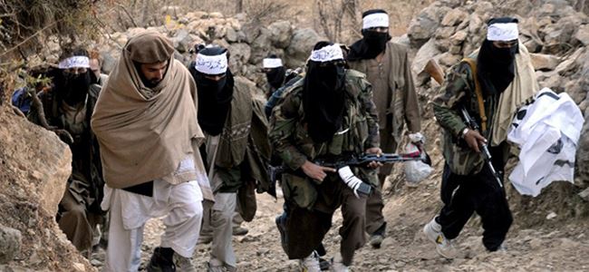Talibana operasyon: 16 ÖLÜ