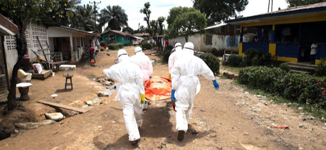 BM: Ebola salgını 2015te bitecek