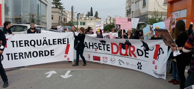 Karpaz’da iki eşeğin öldürülmesi protesto edildi