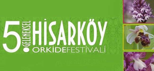 “5. Geleneksel Hisarköy Orkide Festivali”