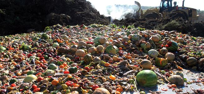 Avrupada yılda 22 milyon ton yiyecek çöpe gidiyor