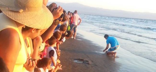  ‘’Gelin hep birlikte sahil temizliği yapalım, bebek kaplumbağalarımızı suya bırakalım’’
