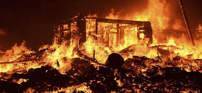 Orman yangınlarda 500ün üzerinde ev yandı