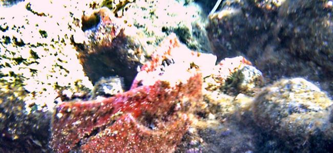 Antik buluntulara rastlandı