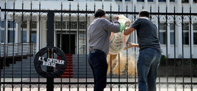 Çiftçi Başbakanlık önünde arpa döktü
