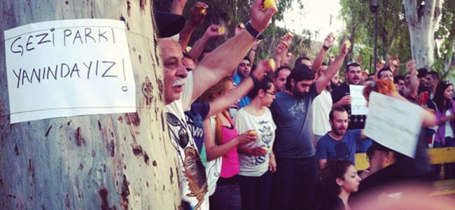 Gezi Parkına Kıbrıstan da destek geldi
