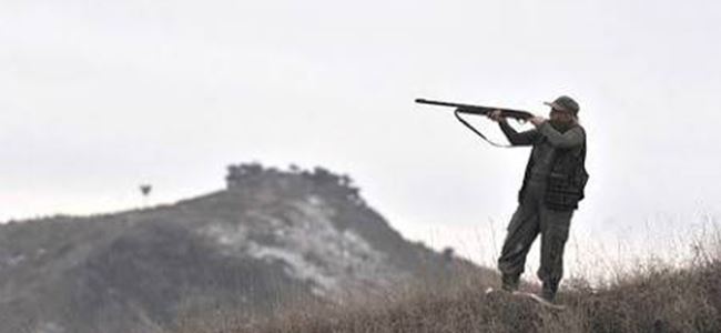 AVDA YÜZÜNDEN VURULDU!